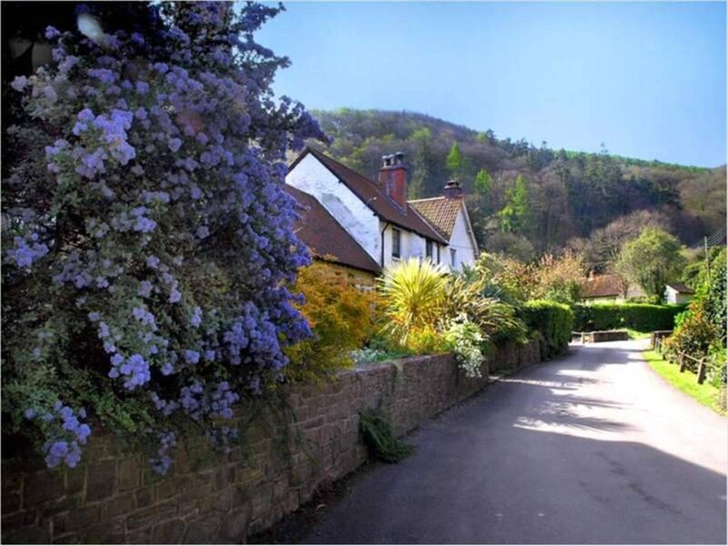 village road with purple flowers