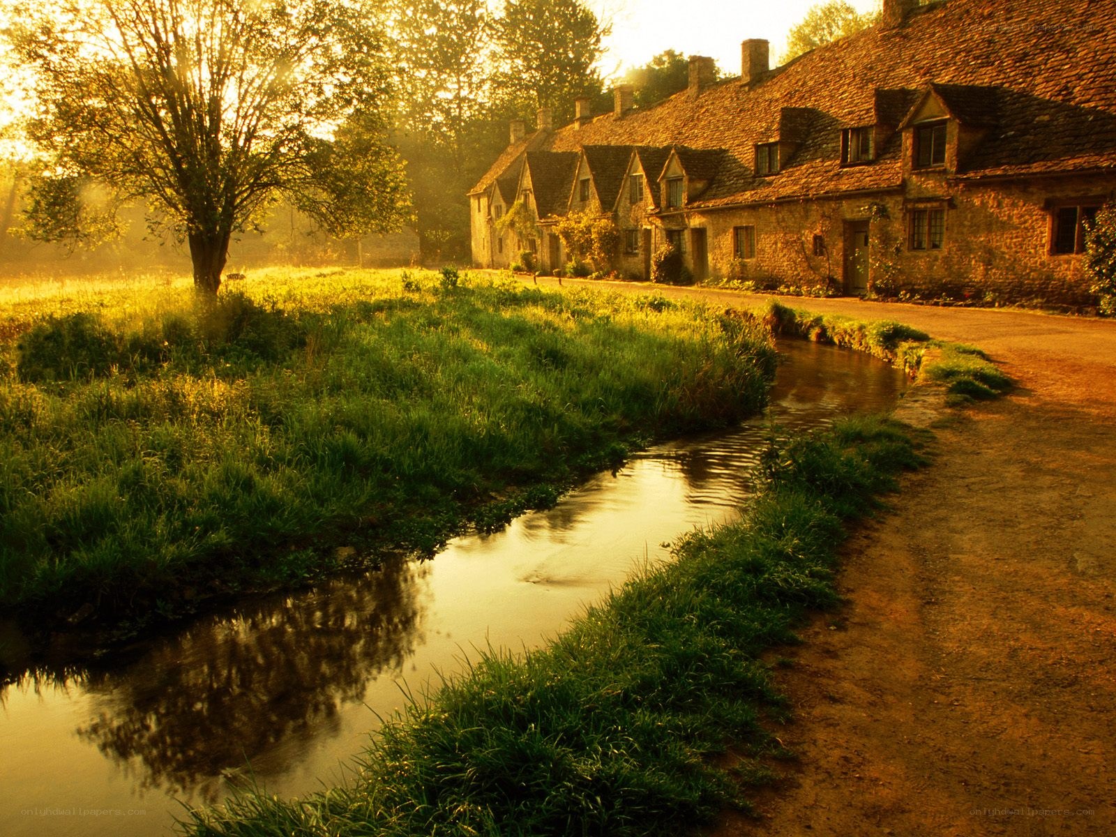 village stream at sunrise