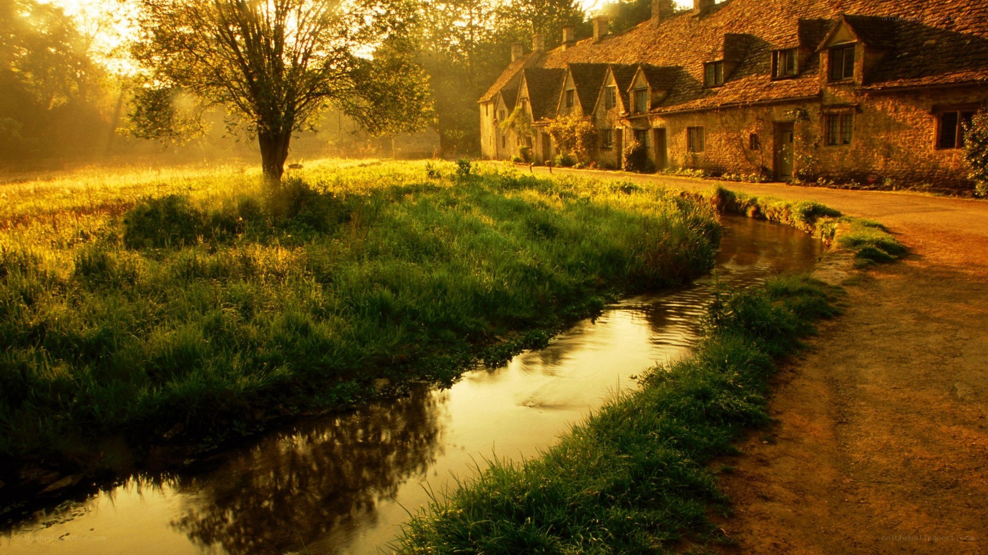 village stream at sunrise