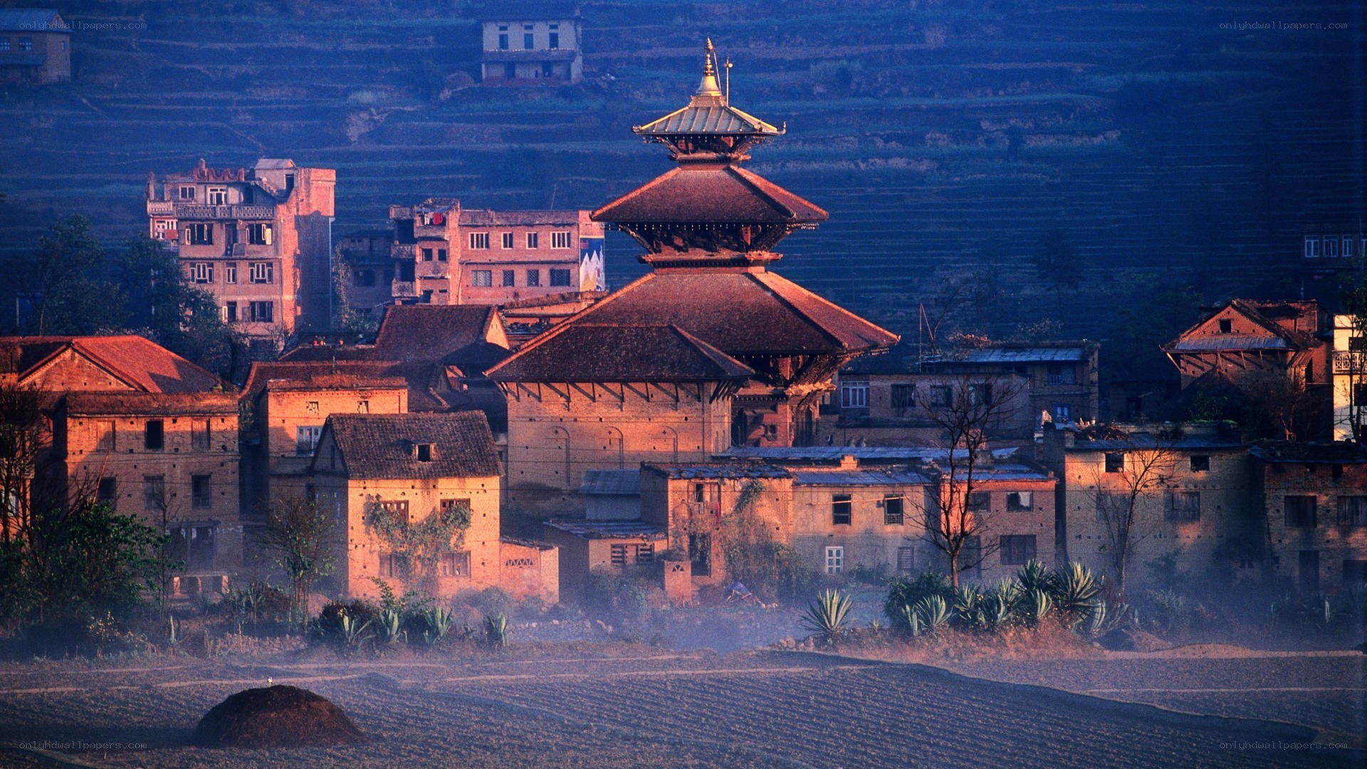 Village temple at dawn