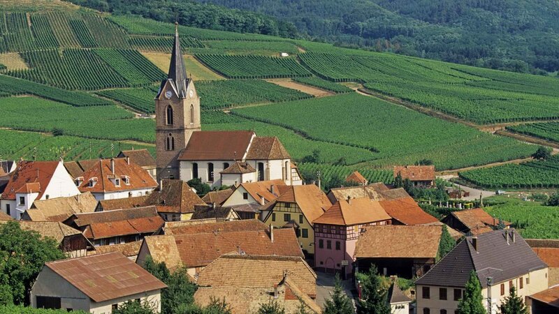 Village with church and vineyards
