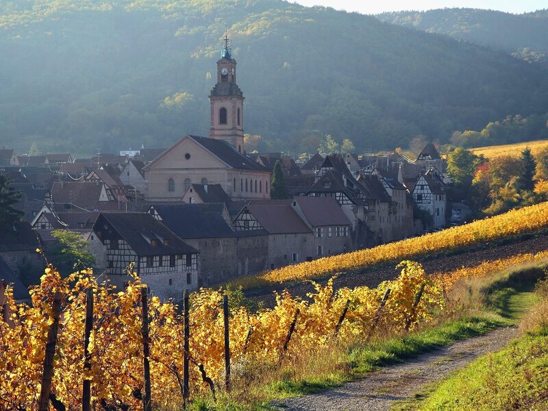 Village with church and vineyards