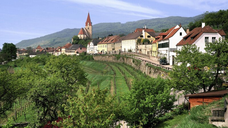 Village with church and vineyards