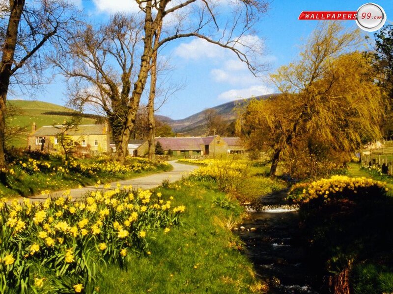 Village with Daffodils