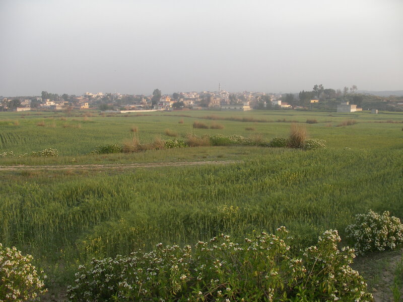 Village with Green Fields