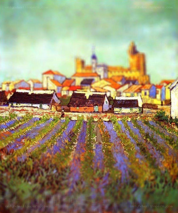 Village with lavender fields