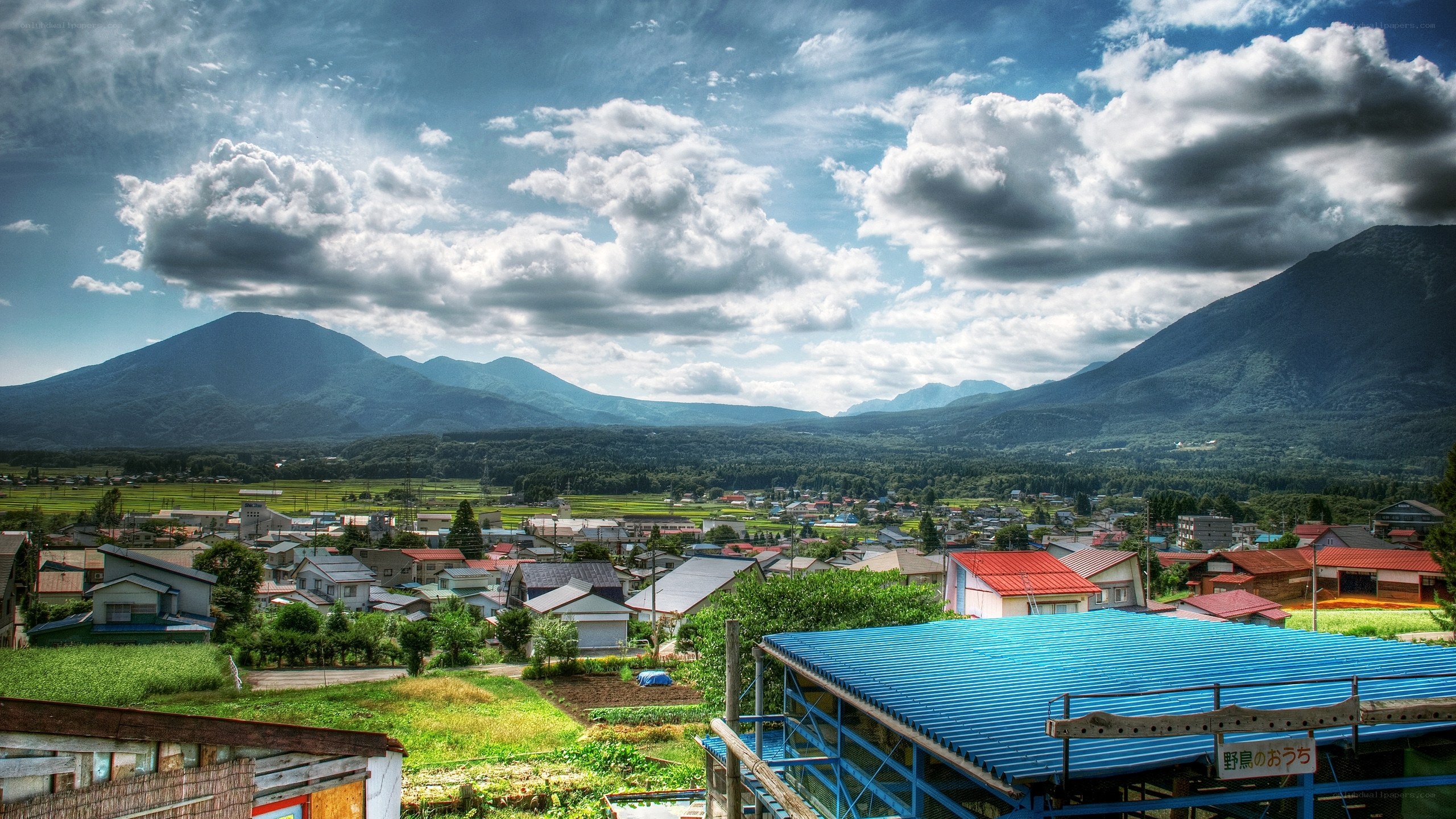 Village with mountains in background