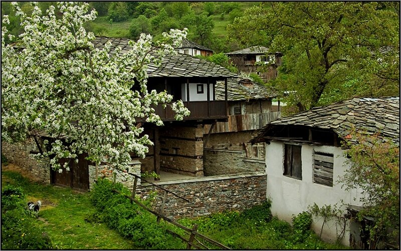 Village with Stone Houses — Green