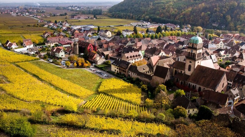 Village with Vineyards