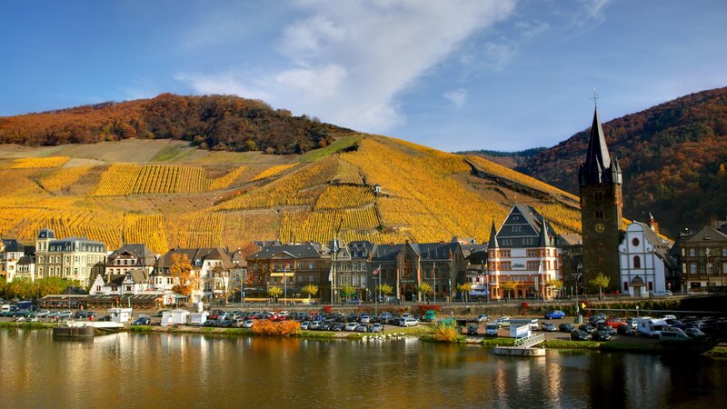 Village with Vineyards — Yellow