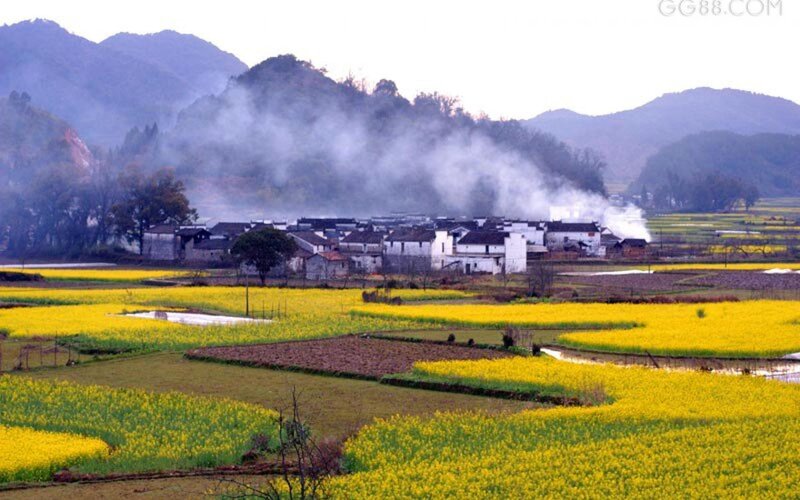 Village with Yellow Fields