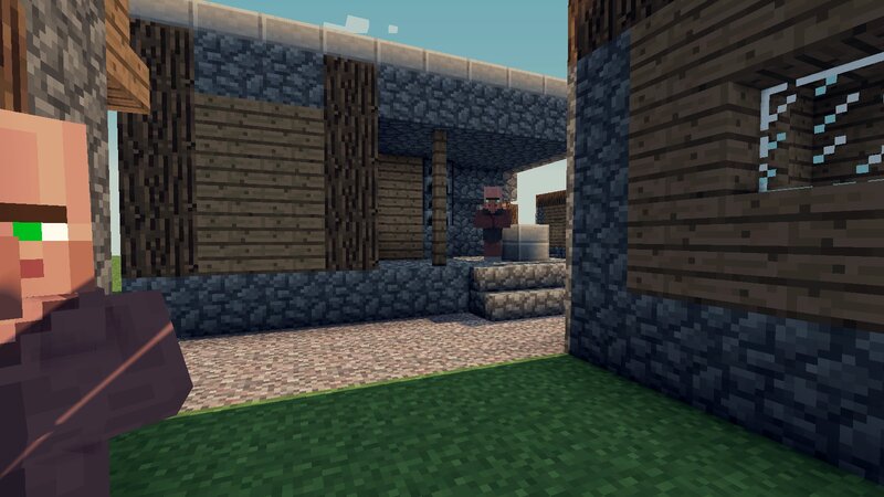 Villager in Village