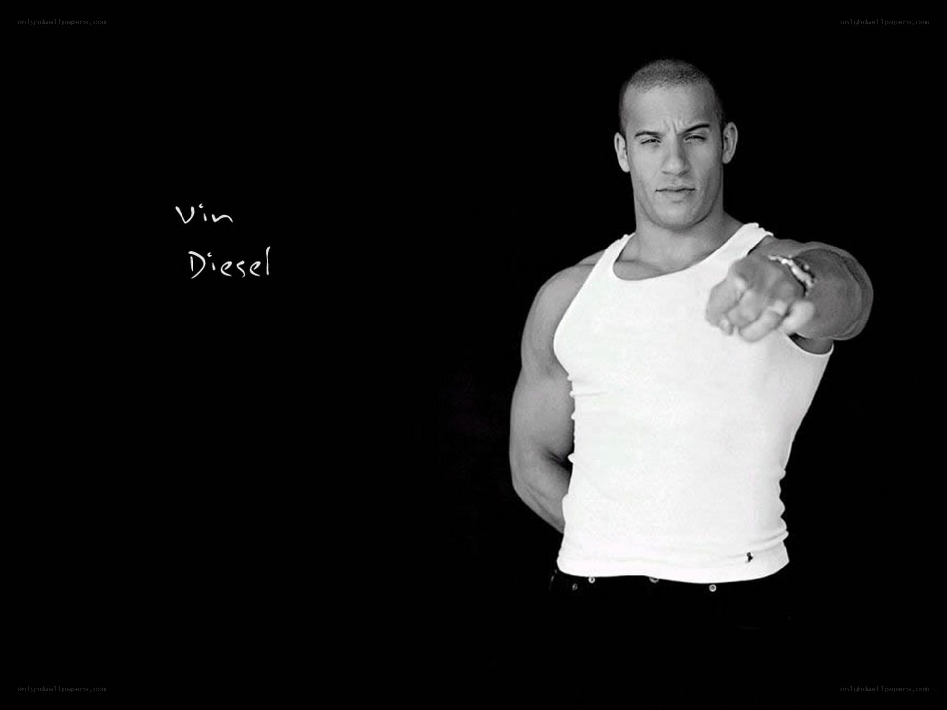 Vin Diesel portrait