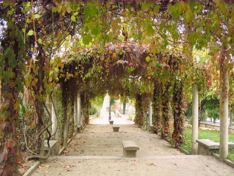 Vine-covered arbor in a park