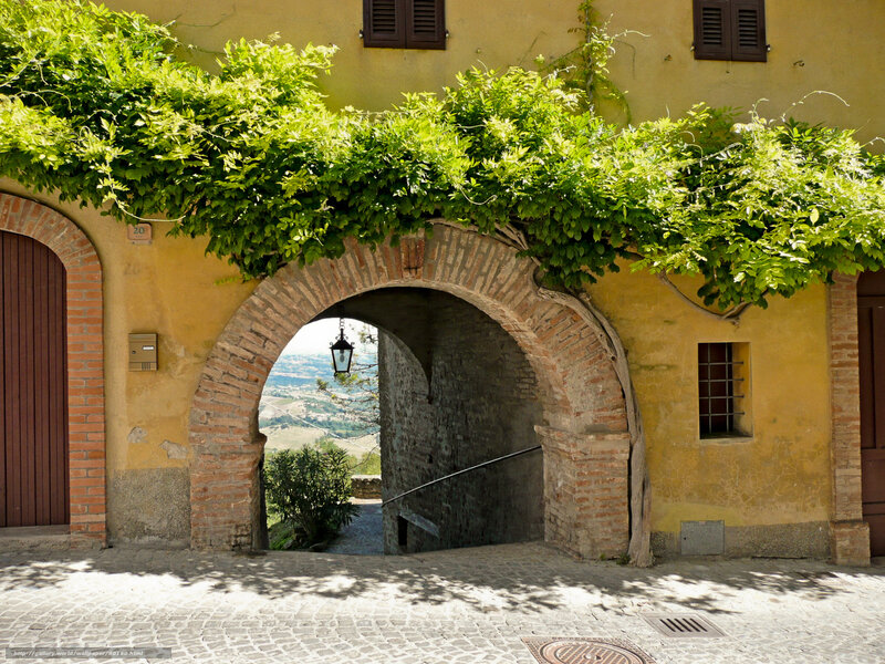 Vine-covered archway in Italian village