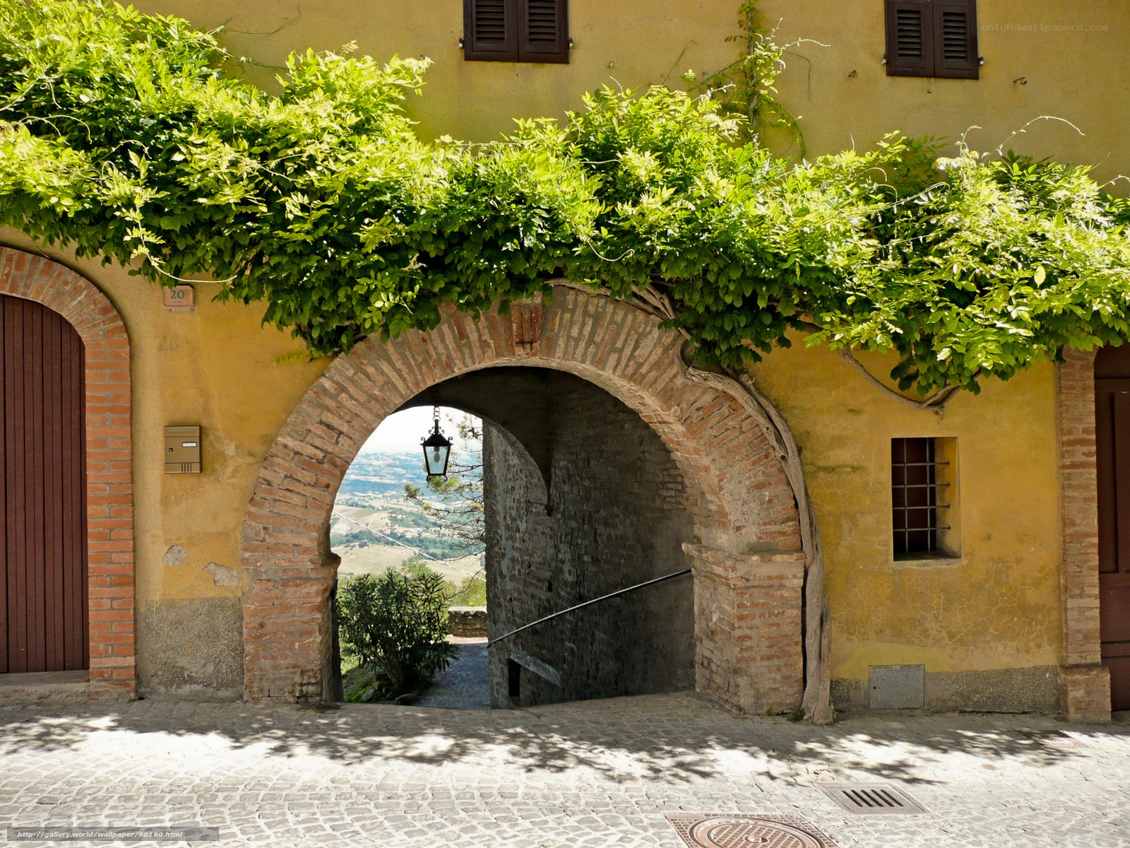 Vine-covered archway in Italian village