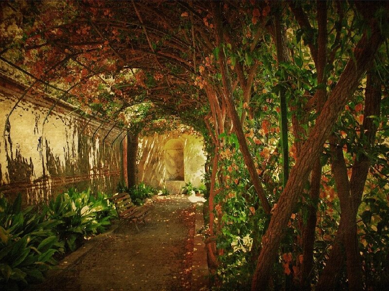 Vine-covered Garden Path