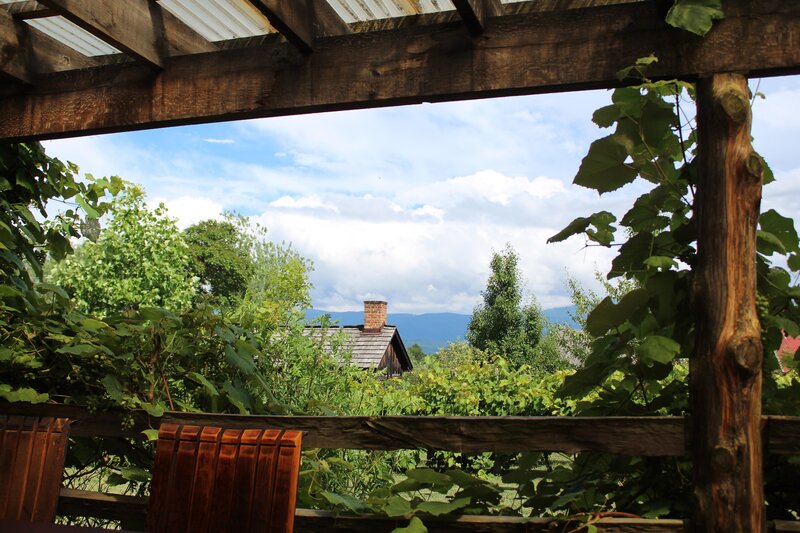 Vine-covered Pergola View