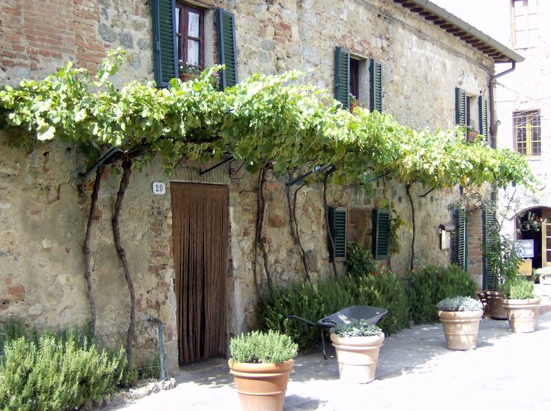Vine-covered stone house in Italy