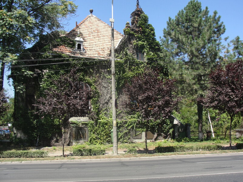 Vines-covered House