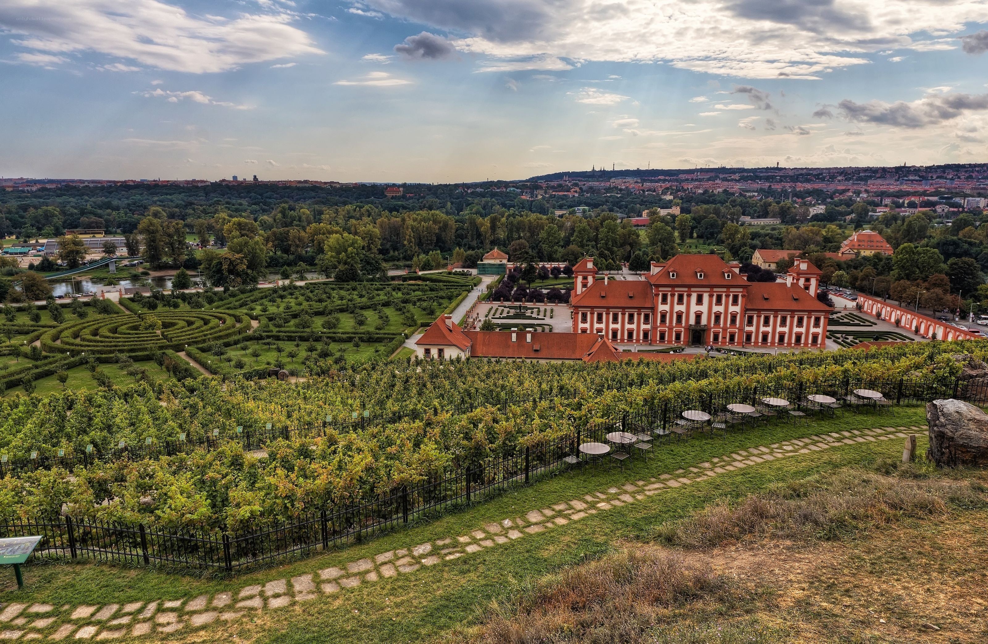 Vineyard and palace in Prague