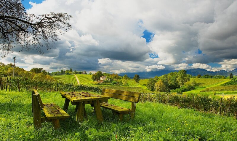 Vineyard bench under cloudy sky