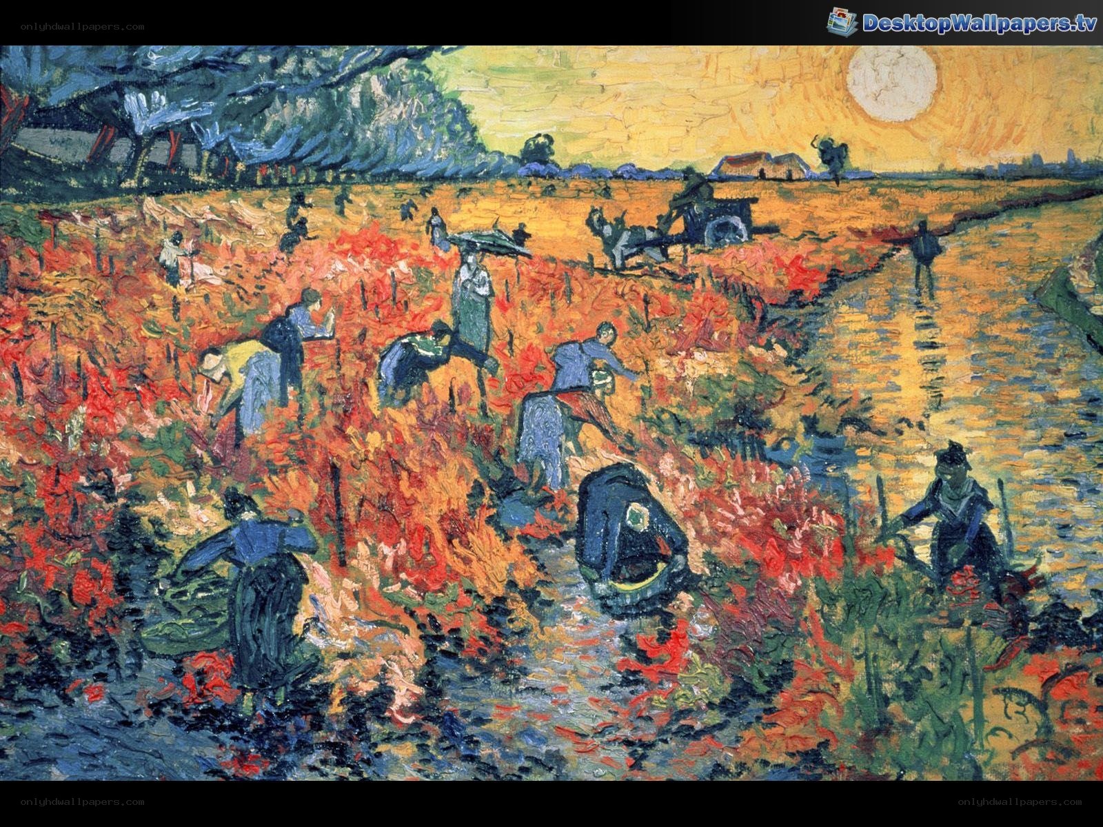 Vineyard Harvest Scene