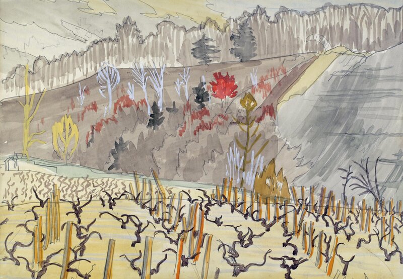 Vineyard on a Hillside — Brown, Calm