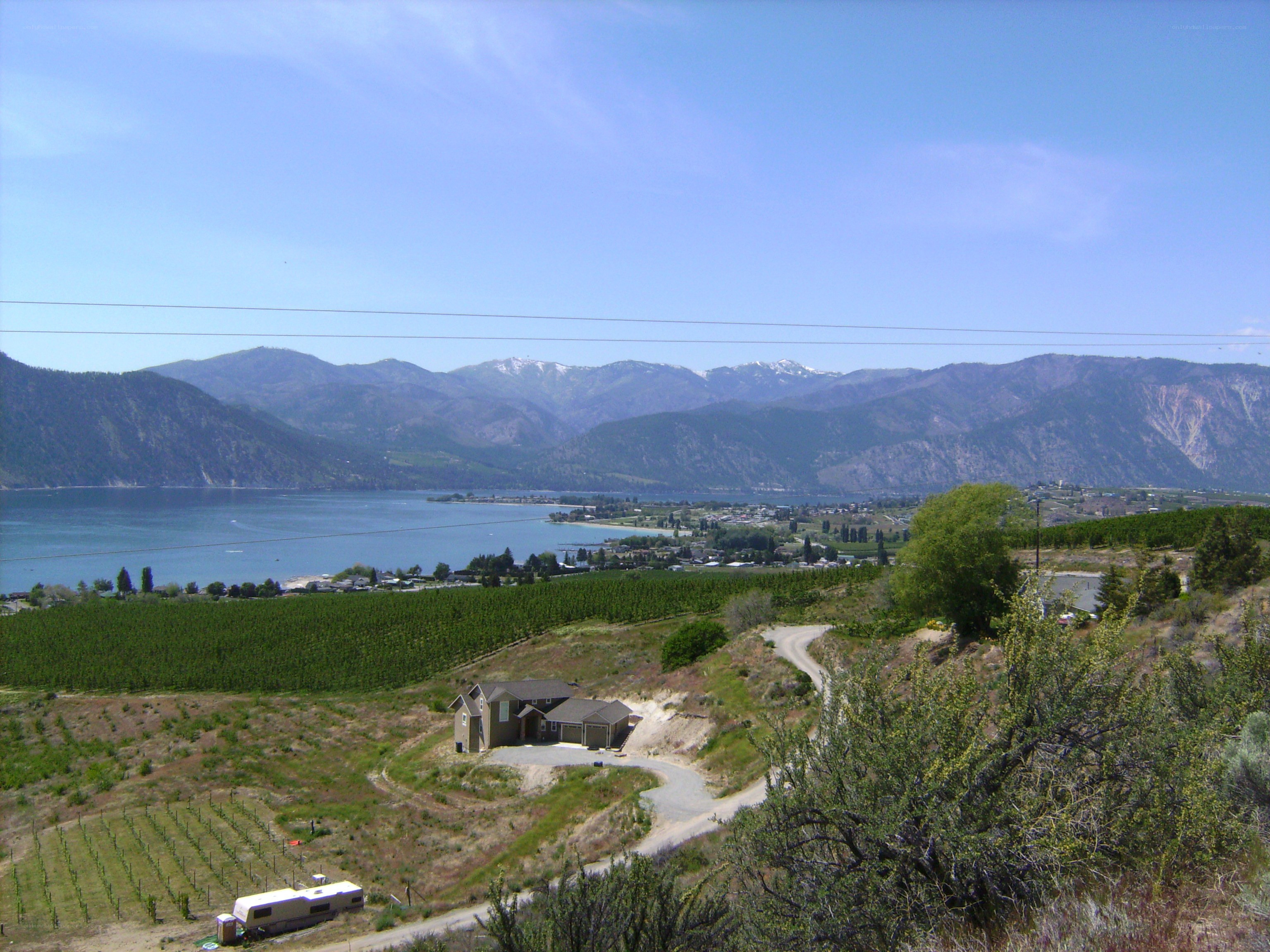 Vineyard overlooking a lake and mountains