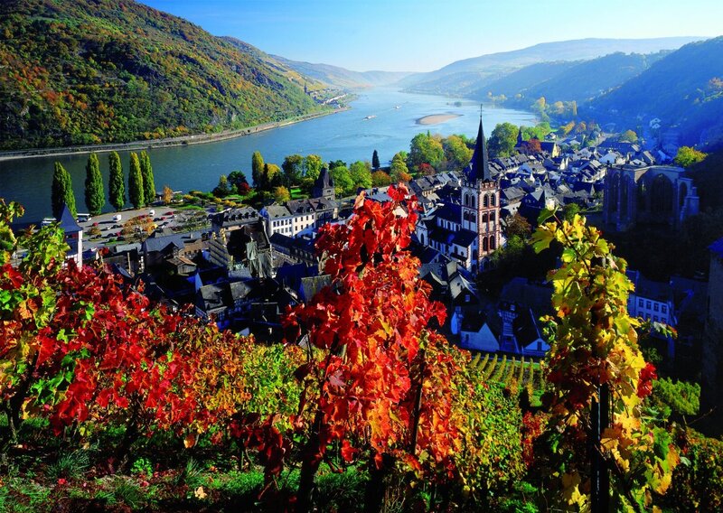 Vineyard Overlooking Town — Red