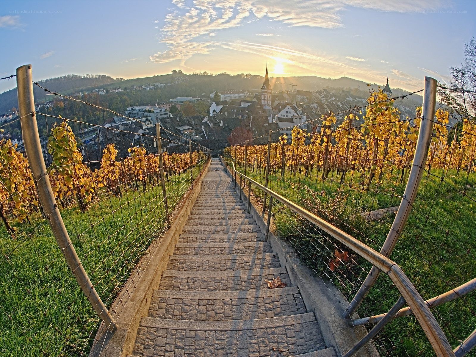 Vineyard steps to town at sunset