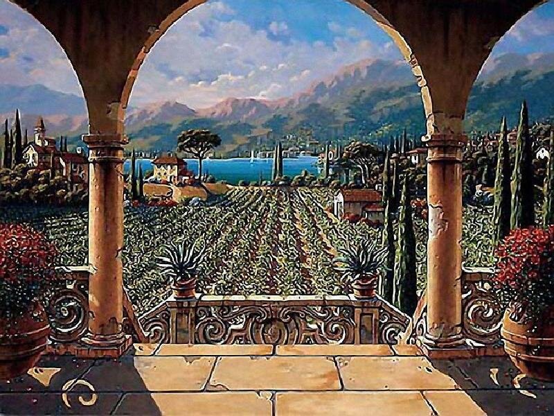 Vineyard view from a terrace