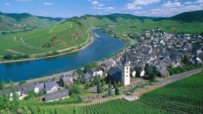 Vineyard village along a river