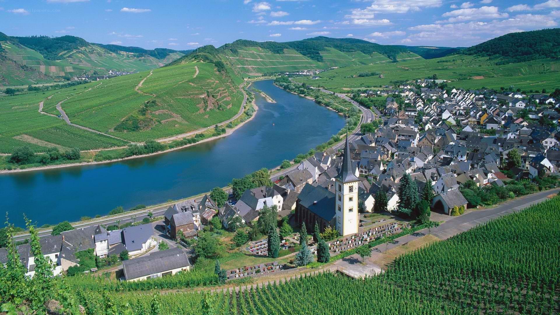 Vineyard village along a river