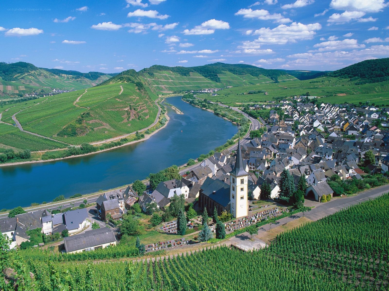 Vineyard village along river