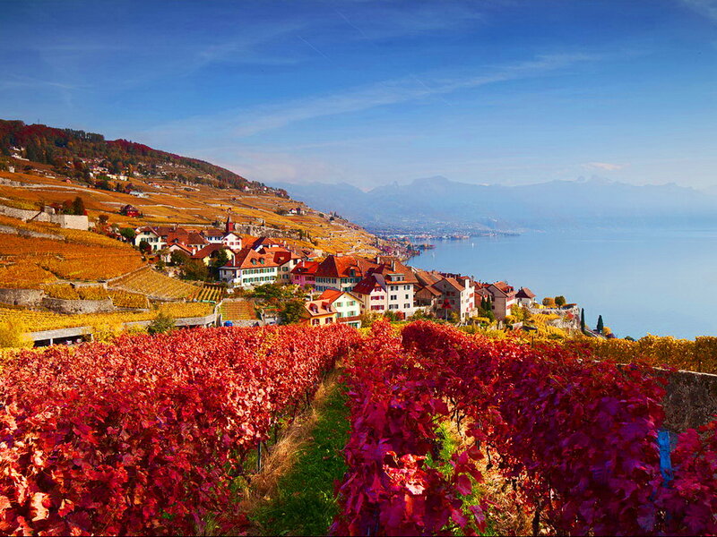Vineyard Village by Lake