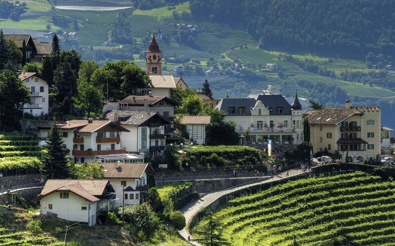 Vineyard village in the Alps