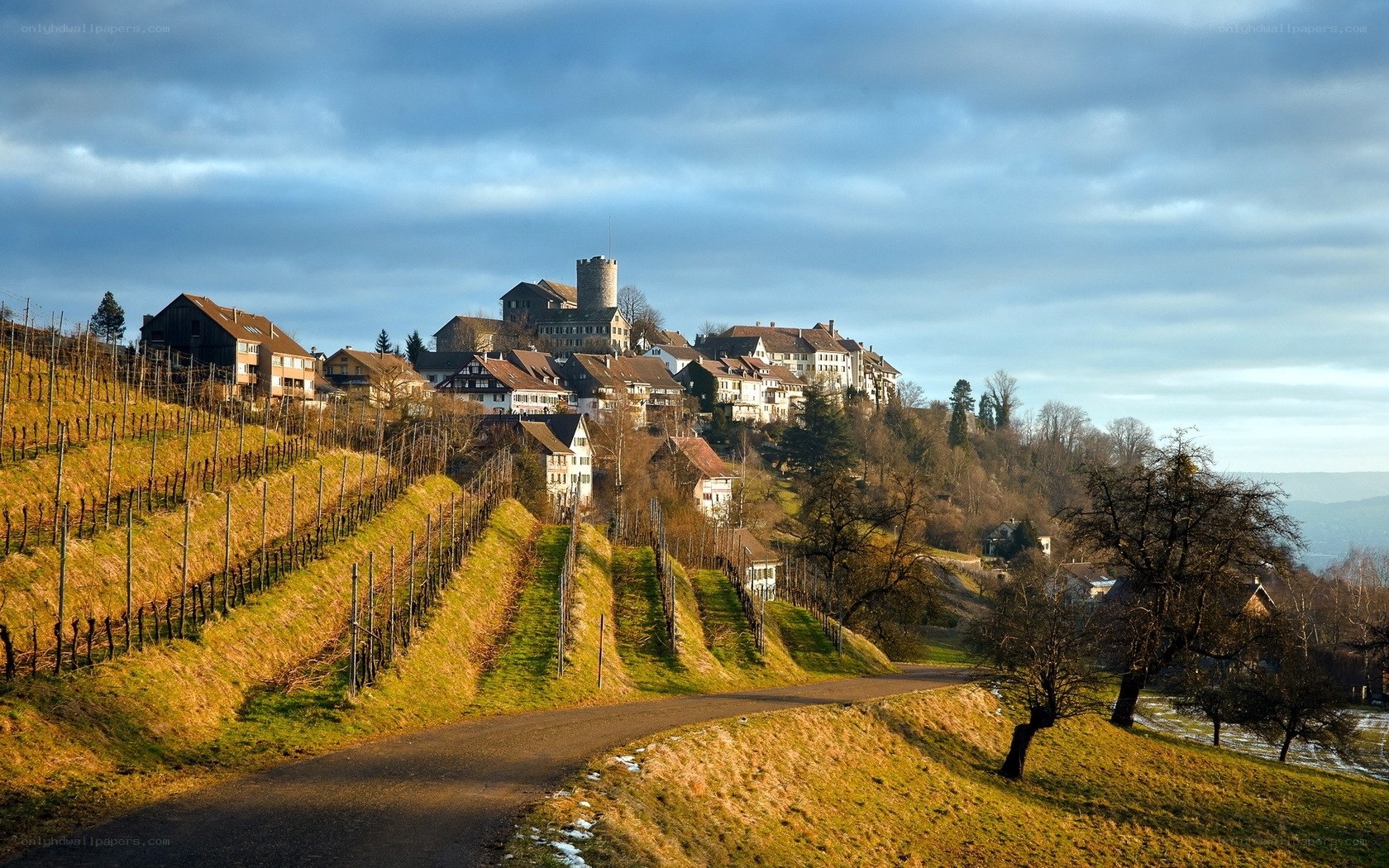 Vineyard village with castle
