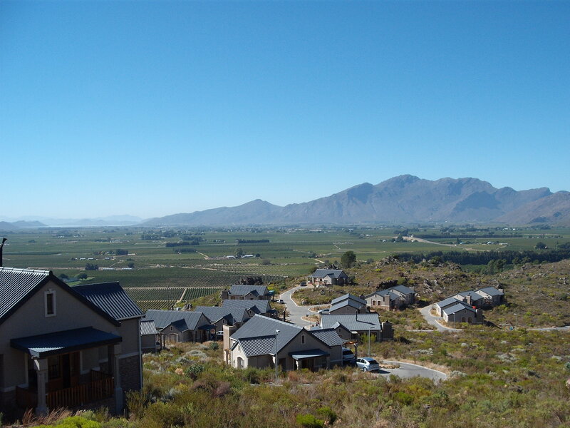 Vineyard village with mountain view