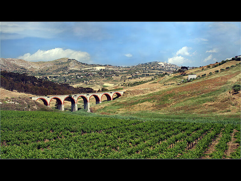 Vineyard with arched bridge