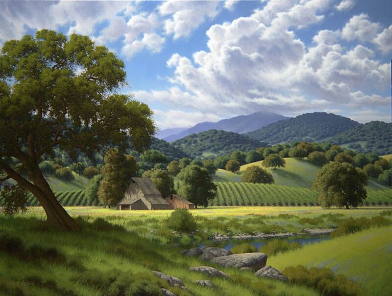 Vineyard with Barn