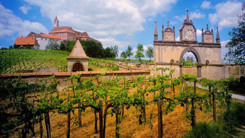 Vineyard with Castle — Green