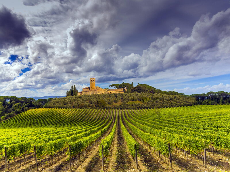 Vineyard with Church — Green