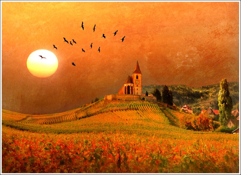 Vineyard with Church