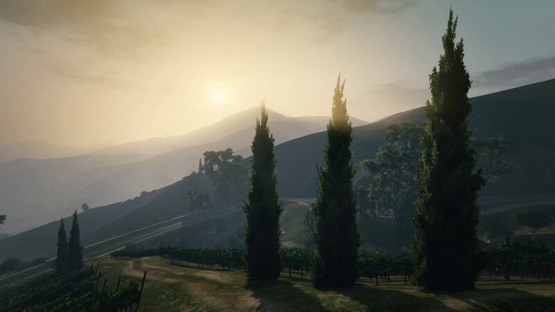 Vineyard with Cypress Trees