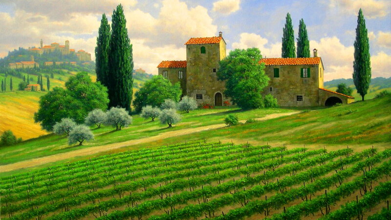 Vineyard with Farmhouse