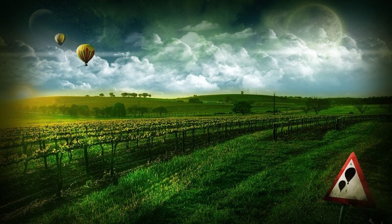 Vineyard with Hot Air Balloons — Green, Dramatic