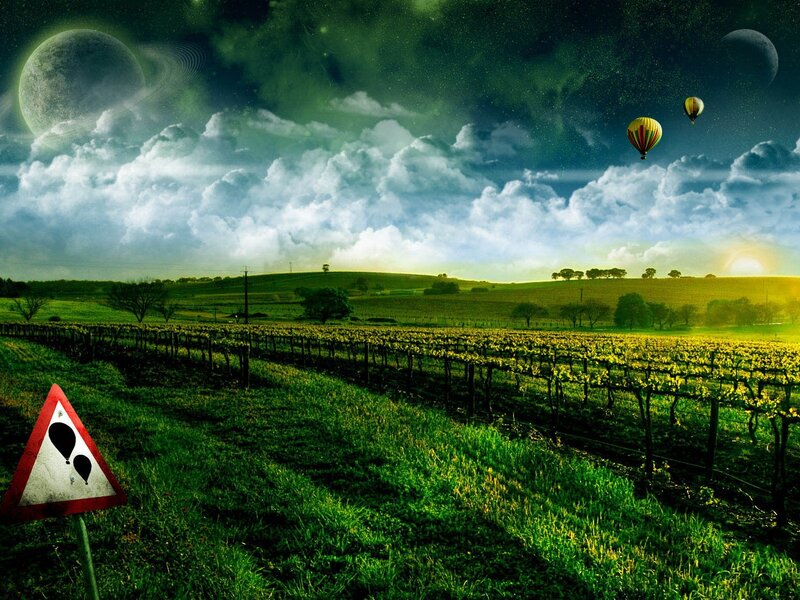 Vineyard with Hot Air Balloons — Green, Dreamy