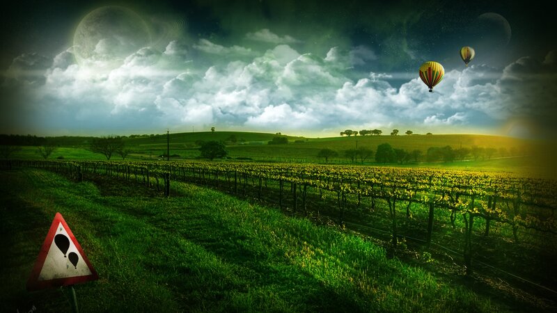 Vineyard with Hot Air Balloons — Green