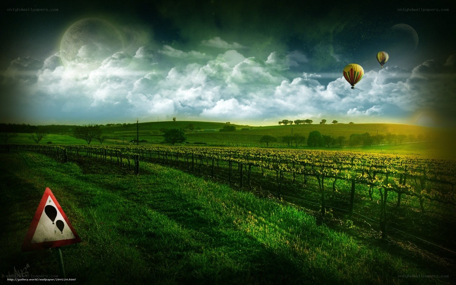Vineyard with hot air balloons